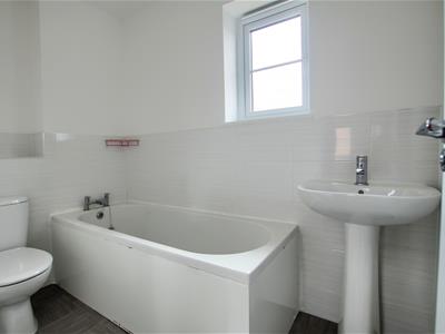 Picture 13